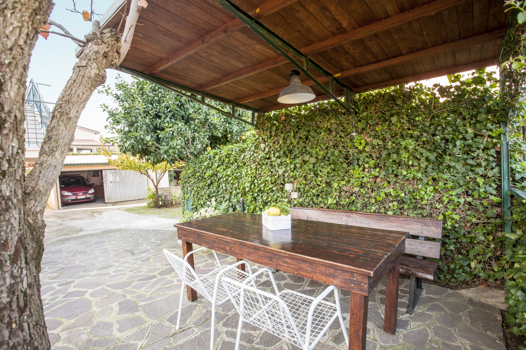 Marciana Marina Edera e Ontanelli